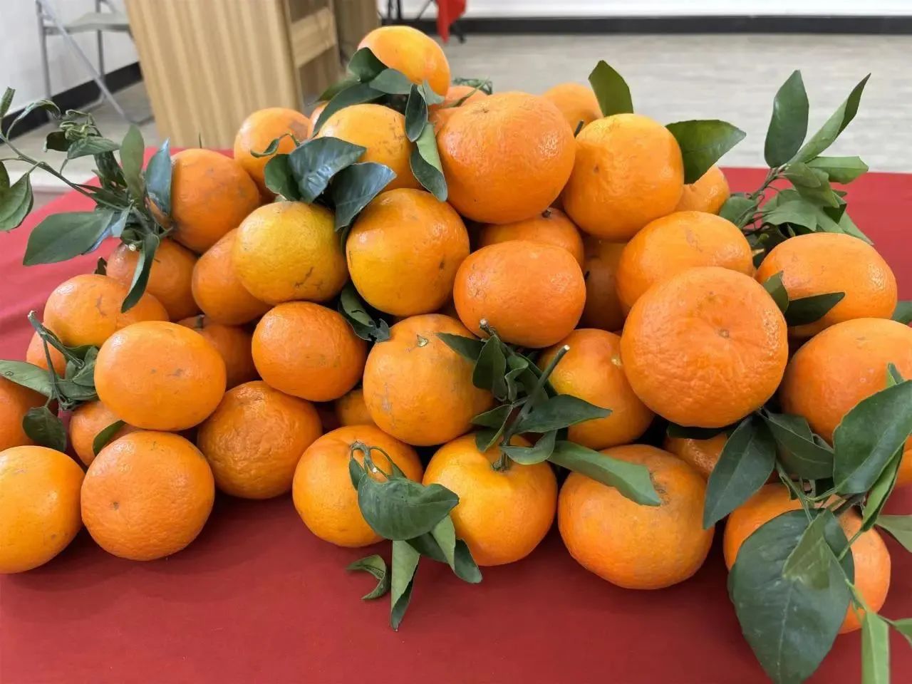 门窗十大品牌